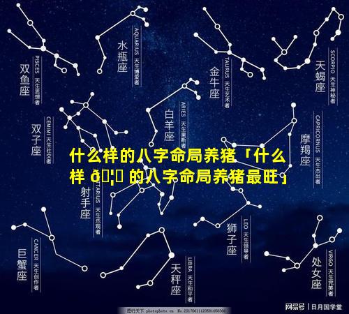 什么样的八字命局养猪「什么样 🦄 的八字命局养猪最旺」